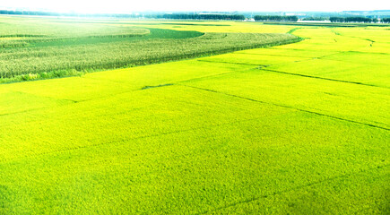 High angle view of farmland in China