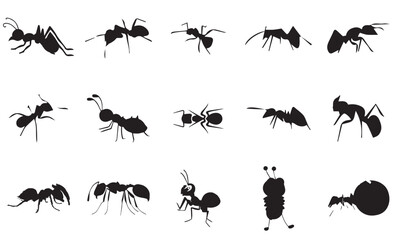 ant silhouette set
