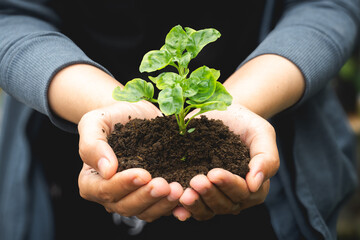 a girl holding a plant in hand