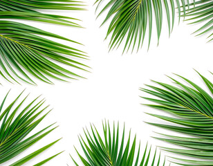 Obraz premium Lush Green Palm Fronds Tropical Background Image. Palm Sunday. Palm Sunday
