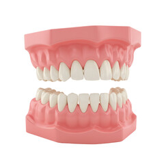 Obraz premium Healthy Human Teeth Model Dental Anatomy Illustration Bright White Smile Perfect Jaws 3D Gums Oral 