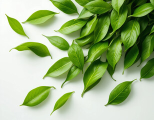 Obraz premium Realistic green tea leaves in motion on a white background 