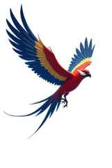 Fototapeta premium Broad-billed Motmot, Electron platyrhynchum, portrait of nice big bird in wild nature, beautiful coloured forest background