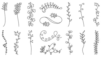 PNG Elegant floral decorative elements set on transparent background