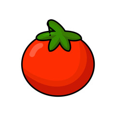 tomato illustration