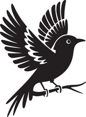 Black and white bird on branch vector image