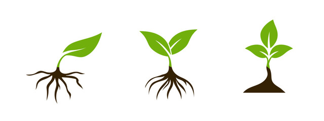 A minimalistic green leaf and root icon with a clean outline, symbolizing sustainability, organic agriculture, and eco friendly products, ideal for health and environmental themes.