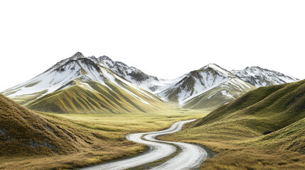 Dirt road winding through a lush green grassy field under a clear blue sky isolated on a white background.