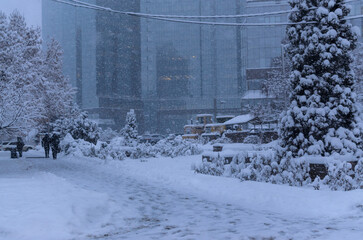 snow storm on the city street