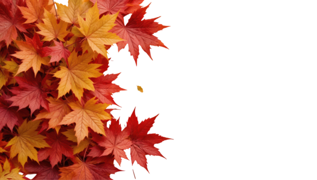 "Autumn Glow: Vibrant Maple Leaves on an Orange Background"