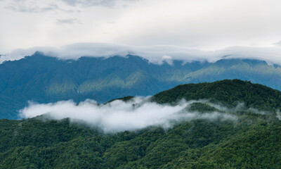 Landscape of mountain covered fog