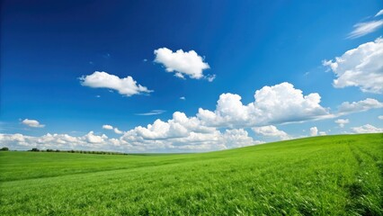 Fototapeta premium A lush green grassy field with a clear blue sky above, with a few fluffy white clouds scattered across the horizon, rural area, vegetation, landscape