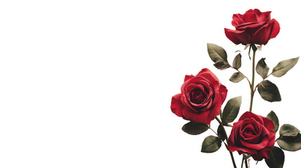 A stunning arrangement of three vibrant red roses with lush green leaves, showcasing natural beauty and elegance, perfect for decoration or gifting.