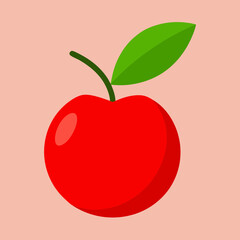 red apple vector illustration acerola barbados cherry