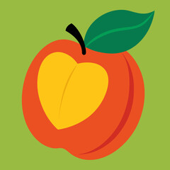 ackee vector illustration