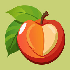 vector illustration of an ackee