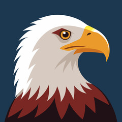 american bald eagle african