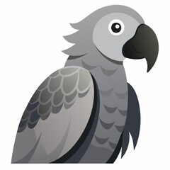  grey parrot cartoon vector