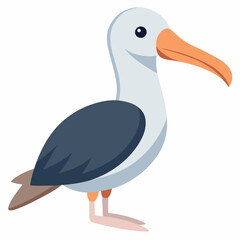 albatross cartoon vector