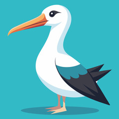 albatross cartoon vector