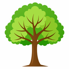 alder tree with green leaves
