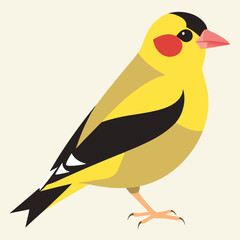goldfinch vector illustration