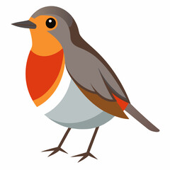 robin on a branch