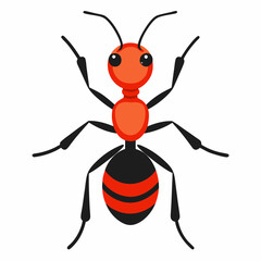 vector illustration of a ant