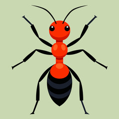 vector illustration of a ant