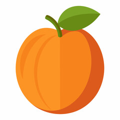 orange fruit isolated on white background apricot