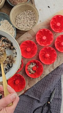 DIY Winter, Vogelfutter selber machen, Dekoration im Winter basteln, V&ouml;gel f&uuml;ttern
