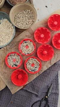 DIY Winter, Vogelfutter selber machen, Dekoration im Winter basteln, V&ouml;gel f&uuml;ttern