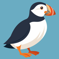 illustration of a cartoon penguin atlantic puffin