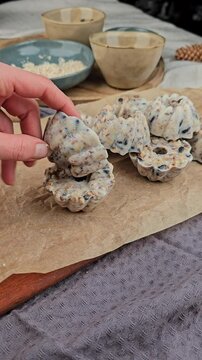 DIY Winter, Vogelfutter selber machen, Dekoration im Winter basteln, V&ouml;gel f&uuml;ttern