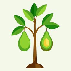 vector illustration of an avocado tree