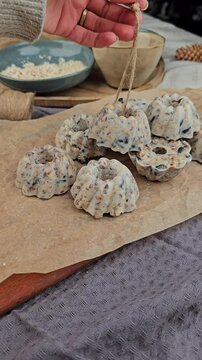 DIY Winter, Vogelfutter selber machen, Dekoration im Winter basteln, V&ouml;gel f&uuml;ttern