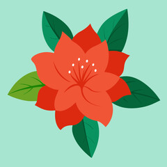 vector illustration of a flower azalea