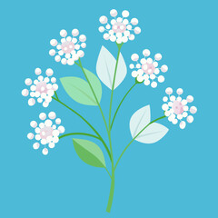 vector illustration of a spring flowers baby breath
