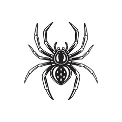 Spider icon. Black Spider icon on white background. Vector illustration