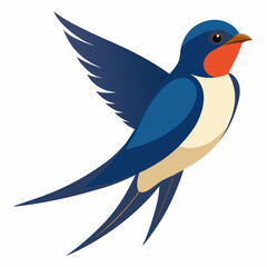 barn swallow bird vector illustration