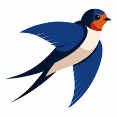 barn swallow bird vector illustration