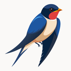 barn swallow bird vector illustration