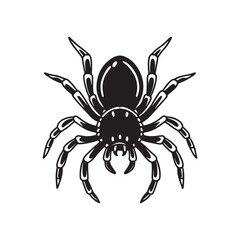Spider icon. Black Spider icon on white background. Vector illustration