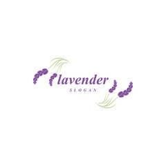 Beautiful lavender flower icon vector