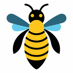 bee on a white