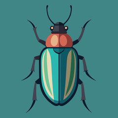 colorado potato beetle