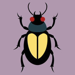 colorado potato beetle