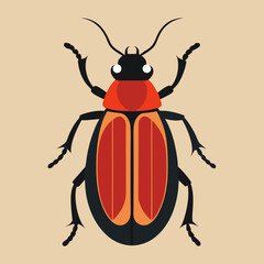 colorado potato beetle
