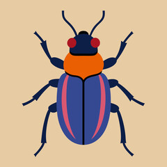 vector illustration of a beetle