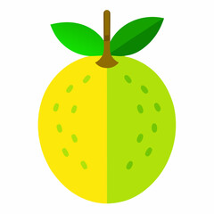 breadfruit vector illustration